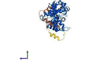 Protein Structure (PS) image for F-Box Protein 8 (FBXO8) (AA 1-319) protein (His tag) (ABIN7547628)