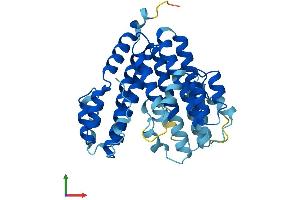 Protein Structure (PS) image for ATPase, H+ Transporting, Lysosomal 38kDa, V0 Subunit D1 (ATP6V0D1) (AA 1-351) protein (His tag) (ABIN7545039)