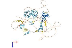 RBM5 Protein (AA 1-815) (His tag)