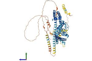 AlphaFold protein structure predicition of Human Recombinant KCND1 Protein, UniprotID Q9NSA2 (KCND1 Protein (AA 1-647) (His tag))