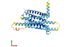 AlphaFold protein structure predicition of Human Recombinant TAS2R8 Protein, UniprotID Q9NYW2