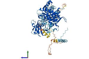 Protein Structure (PS) image for SUMO1 Activating Enzyme Subunit 2 (UBA2) (AA 1-640) protein (His tag) (ABIN7545885)