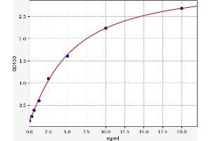 AVPR1B ELISA Kit