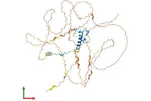 AlphaFold protein structure predicition of Human Recombinant FAM217A Protein, UniprotID Q8IXS0
