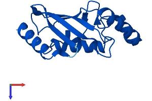 Protein Structure (PS) image for Ubiquitin-Conjugating Enzyme E2D 1 (UBE2D1) (AA 1-147) protein (His tag) (ABIN7544963)
