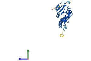 AlphaFold protein structure predicition of Mouse Recombinant Clec12a Protein, UniprotID Q504P2