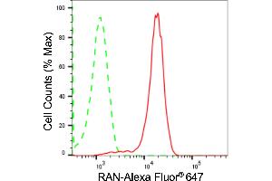 Flow cytometric analysis of RAN expression in H9c2 cells using RAN antibody (ABIN7800129), 1:2,000). (Rekombinanter RAN Antikörper)
