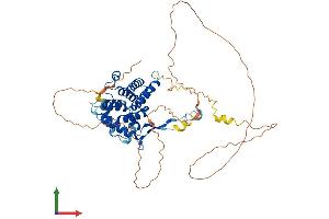 Protein Structure (PS) image for Family with Sequence Similarity 126, Member A (FAM126A) (AA 1-521) protein (His tag) (ABIN7554153)