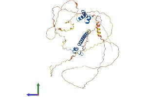 Protein Structure (PS) image for DMRT-Like Family A1 (DMRTA1) (AA 1-490) protein (His tag) (ABIN7559306)