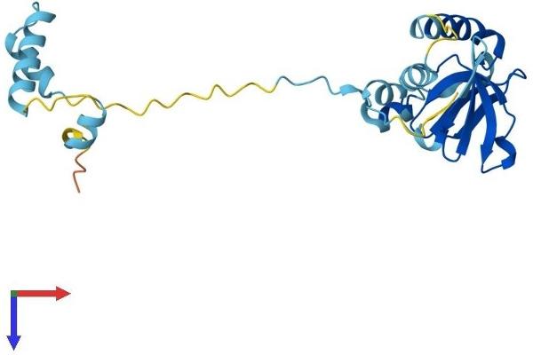 RPP29 Protein (AA 1-220) (His tag)