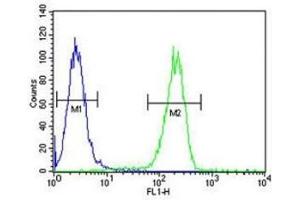Flow Cytometry (FACS) image for anti-Annexin A5 (ANXA5) (AA 1-30) antibody (ABIN3029976)