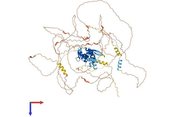 E2F7 Protein (AA 1-911) (His tag)