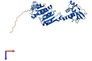 HENMT1 Protein (AA 1-393) (His tag)