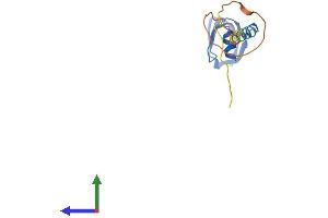 Protein Structure (PS) image for LSM4 Homolog, U6 Small Nuclear RNA Associated (LSM4) (AA 1-137) protein (His tag) (ABIN7561740)
