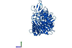 AlphaFold protein structure predicition of Human Recombinant PCK1 Protein, UniprotID P35558 (PCK1 Protein (AA 1-622) (His tag))