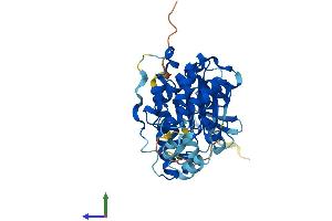 Protein Structure (PS) image for Mitogen-Activated Protein Kinase 12 (MAPK12) (AA 1-367) protein (His tag) (ABIN7562223)