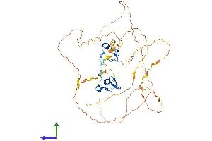 Protein Structure (PS) image for GATA Binding Protein 2 (GATA2) (AA 1-480) protein (His tag) (ABIN7562244)