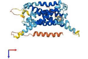 Vomeronasal 1 Receptor 1 (VN1R1) (AA 1-353) protein (His tag)