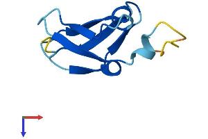 DPH3, KTI11 Homolog (S. Cerevisiae) Pseudogene 1 (DPH3P1) (AA 1-78) protein (Fc Tag)