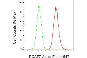 Flow cytometric analysis of DCAF7 expression in HAP-1 cells using DCAF7 antibody (ABIN7798282), 1:2,000). (Rekombinanter DCAF7 Antikörper)