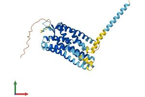 AlphaFold protein structure predicition of Mouse Recombinant Ackr3 Protein, UniprotID P56485
