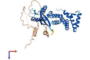 SNX21 Protein (AA 1-373) (His tag)