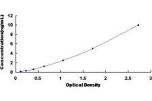 Typical standard curve (CD90 ELISA Kit)