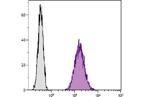 Mouse pre-B cell line 18-81 was stained with Rat Anti-Mouse CD71-FITC. (Transferrin Receptor Antikörper)