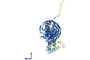 Protein Structure (PS) image for Intracisternal A Particle-Promoted Polypeptide (IPP) (AA 1-584) protein (His tag) (ABIN7548567)