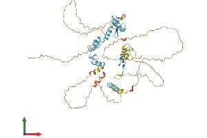 AlphaFold protein structure predicition of Mouse Recombinant Ikzf2 Protein, UniprotID P81183