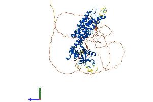 Protein Structure (PS) image for Neuroepithelial Cell Transforming 1 (NET1) (AA 1-595) protein (His tag) (ABIN7556401)