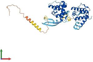 Protein Structure (PS) image for Parvin, beta (PARVB) (AA 1-364) protein (His tag) (ABIN7550620)