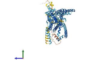 Protein Structure (PS) image for Transmembrane Channel-Like 4 (Tmc4) (AA 1-712) protein (His tag) (ABIN7544488)