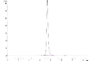 Size-exclusion chromatography-High Pressure Liquid Chromatography (SEC-HPLC) image for Programmed Cell Death 1 (PDCD1) (AA 21-167) protein (Fc Tag) (ABIN7275417)