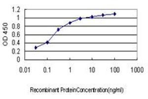 Detection limit for recombinant GST tagged LTBP2 is approximately 0. (LTBP2 Antikörper  (AA 1709-1818))