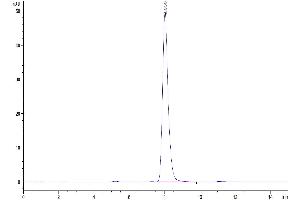 Size-exclusion chromatography-High Pressure Liquid Chromatography (SEC-HPLC) image for EPH Receptor A4 (EPHA4) (AA 20-547) protein (His tag) (ABIN7274554)