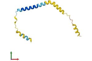 Protein Structure (PS) image for Dexamethasone-Induced Transcript (DEXI) (AA 1-95) protein (His tag) (ABIN7547108)