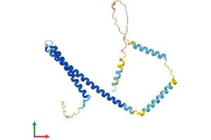 Protein Structure (PS) image for Charged Multivesicular Body Protein 4C (CHMP4C) (AA 1-233) protein (His tag) (ABIN7553431)
