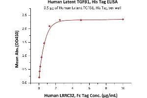 ELISA image for Transforming Growth Factor, beta 1 (TGFB1) (AA 30-390) (Active) protein (His tag) (ABIN4949126)