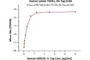 Immobilized Human Latent TGFB1, His Tag (ABIN4949126,ABIN4949127) at 5 μg/mL (100 μL/well) can bind Human LRRC32, Fc Tag (ABIN5674638,ABIN6809961) with a linear range of 0.