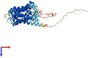 SLC35A2 Protein (AA 1-390) (His tag)