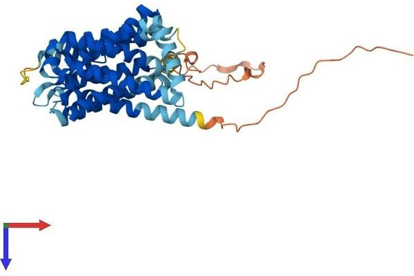 SLC35A2 Protein (AA 1-390) (His tag)