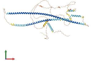 Protein Structure (PS) image for Huntingtin Associated Protein 1 (HAP1) (AA 1-671) protein (His tag) (ABIN7554070)