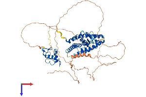 NR4A2 Protein (AA 1-598) (His tag)