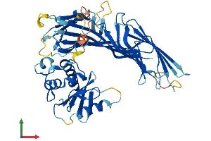Protein Structure (PS) image for Adaptor-Related Protein Complex 4, mu 1 Subunit (Ap4m1) (AA 1-449) protein (His tag) (ABIN7561630)