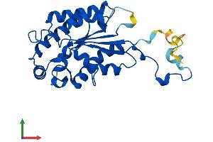 Protein Structure (PS) image for Isoamyl Acetate-Hydrolyzing Esterase 1 Homolog (IAH1) (AA 1-248) protein (His tag) (ABIN7548362)