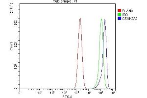 Flow Cytometry analysis of Caco-2 cells using anti-CSNK2A2 antibody (ABIN7602871). (CSNK2A2 Antikörper  (C-Term))