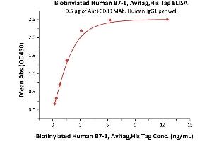 Immobilized A MAb, Human IgG1 at 5 μg/mL (100 μL/well) can bind Biotinylated Human B7-1, Avitag,His Tag (recommended for biopanning) (ABIN3137662,ABIN5674030) with a linear range of 0.