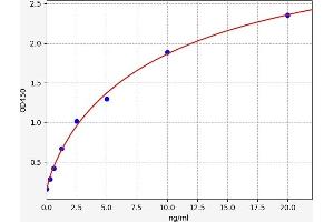 STAT4 ELISA Kit