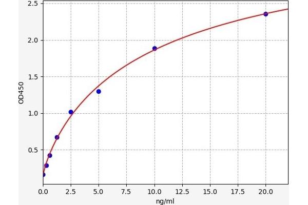 STAT4 ELISA Kit